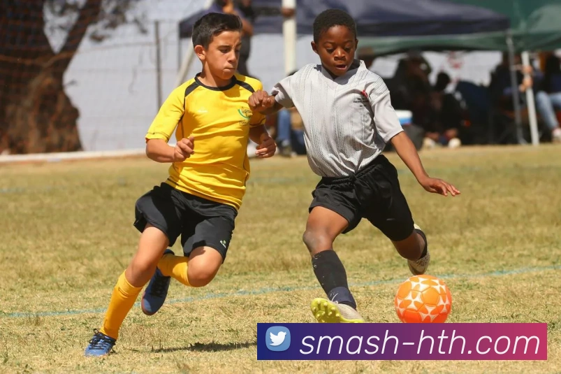 hth体育平台生态图